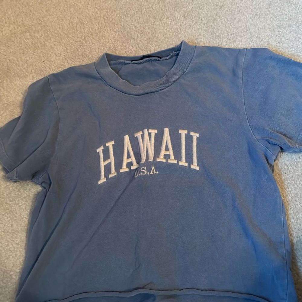 blue “Hawaii” Brandy Melville crop t-shirt